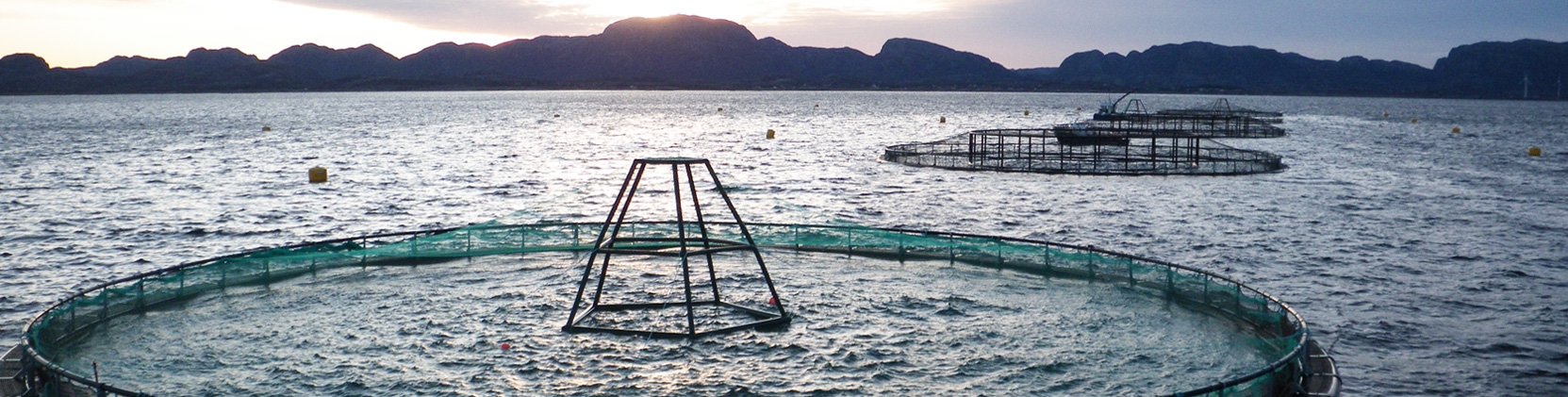 Wissenschaftliche Grundlagen