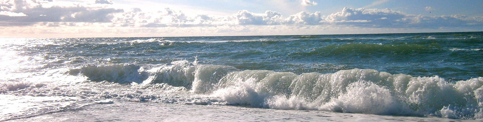 Evaluation & Prognose